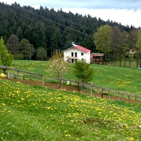 Acisu Konaklama
