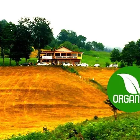 Homestay Acisu Konaklama *